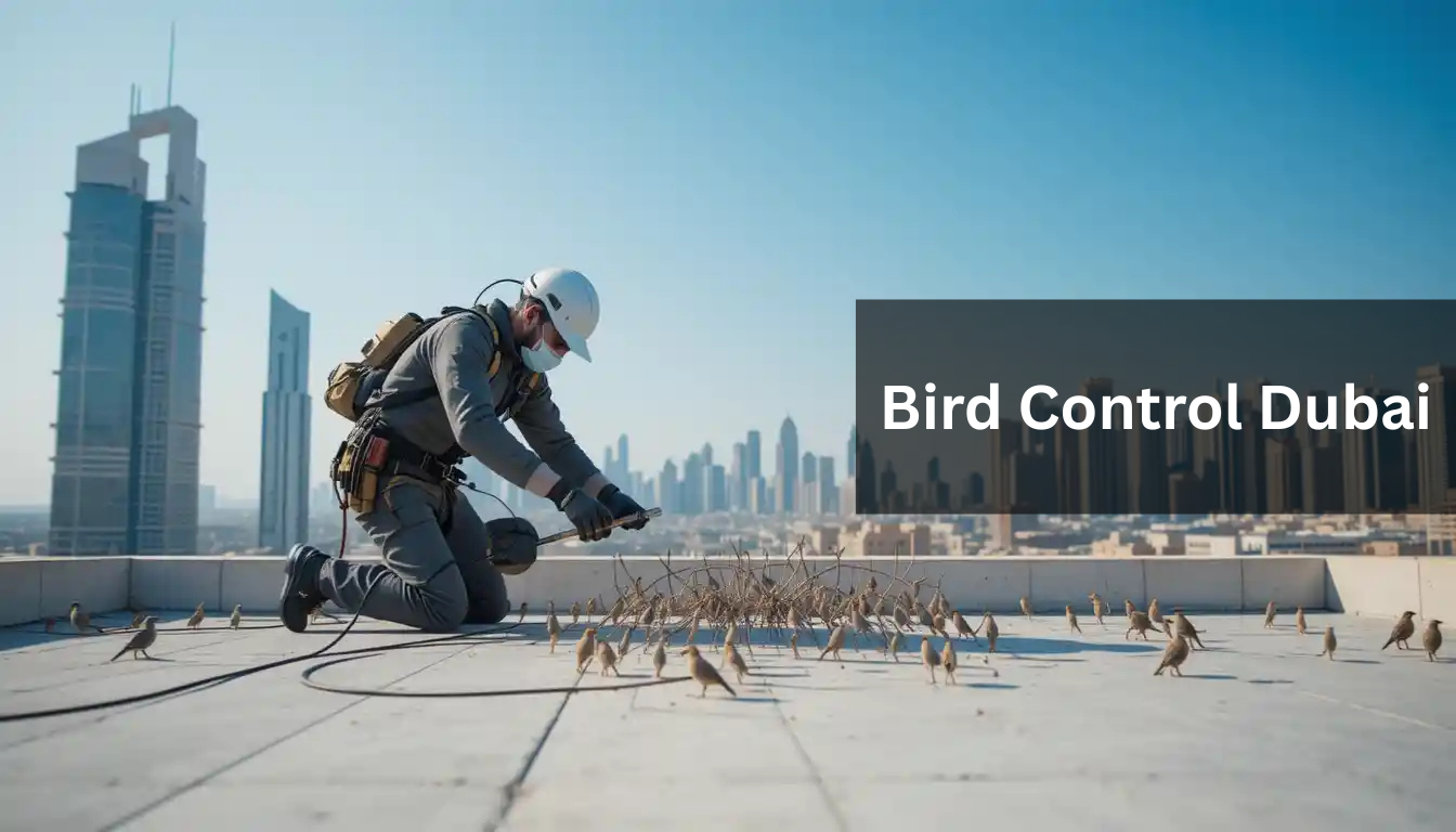 Bird Control Dubai