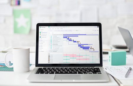 project management